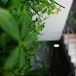 Discovery ホテル 3*