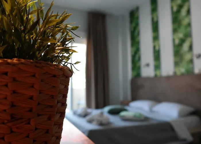 ホテル Discovery 3*