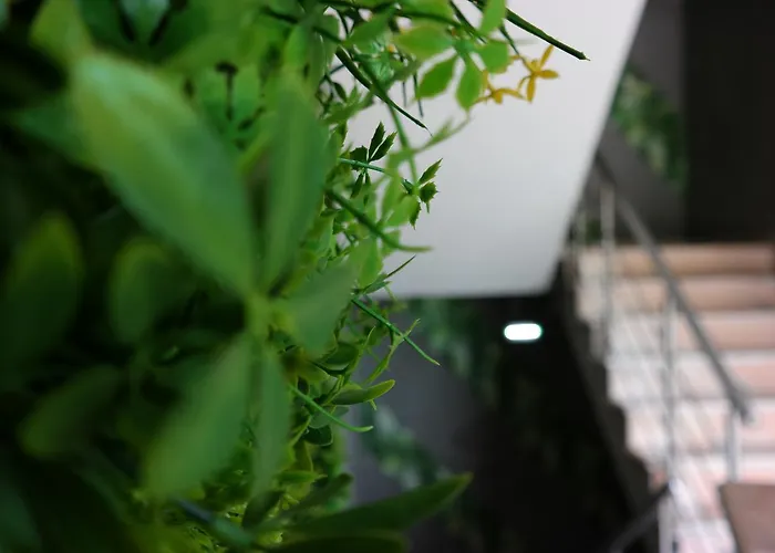 Discovery ホテル 3*